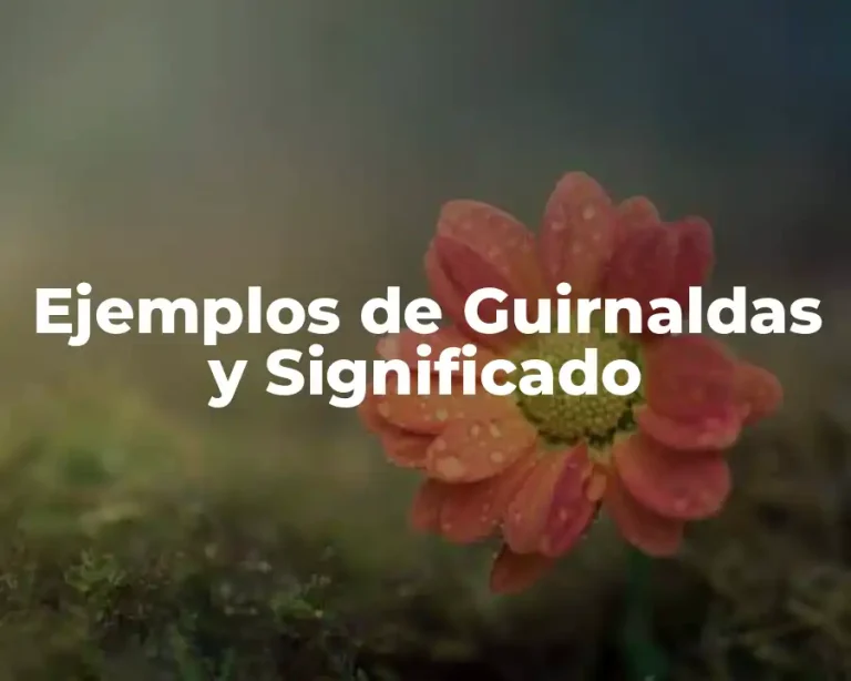 Ejemplos de Guirnaldas y Significado
