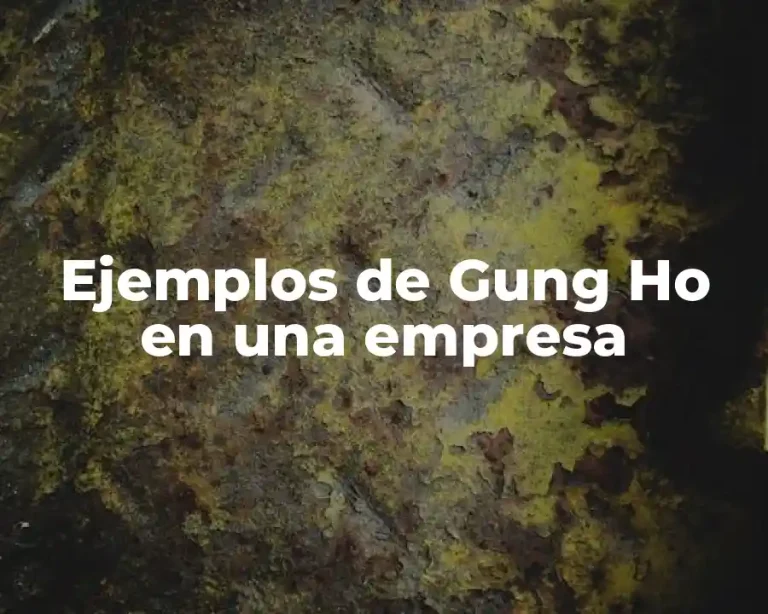 Ejemplos de Gung Ho en una empresa