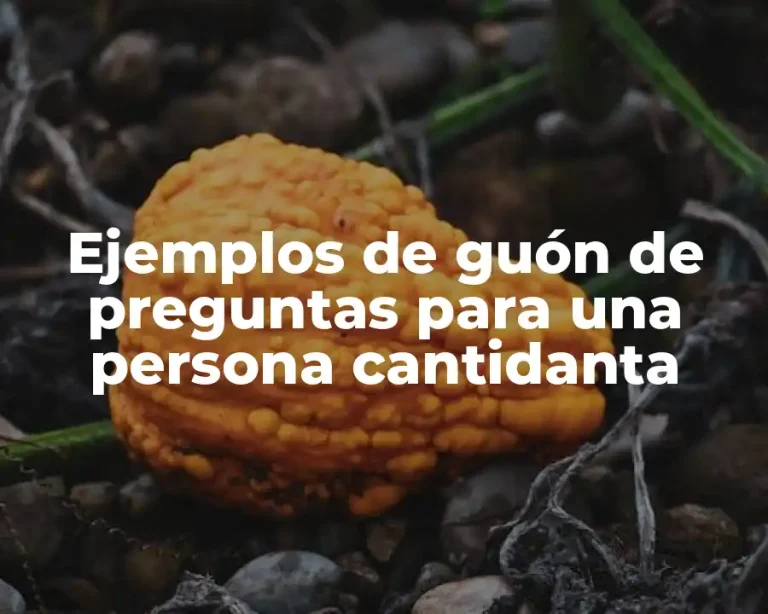 Ejemplos de guón de preguntas para una persona cantidanta