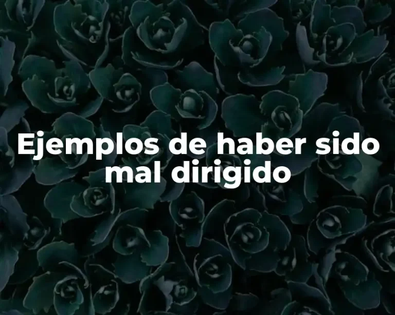 Ejemplos de haber sido mal dirigido