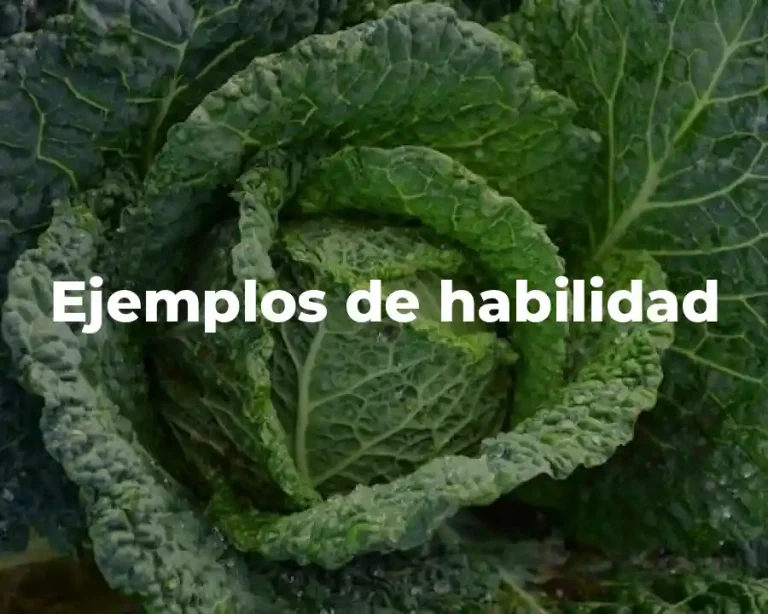 Ejemplos de habilidad