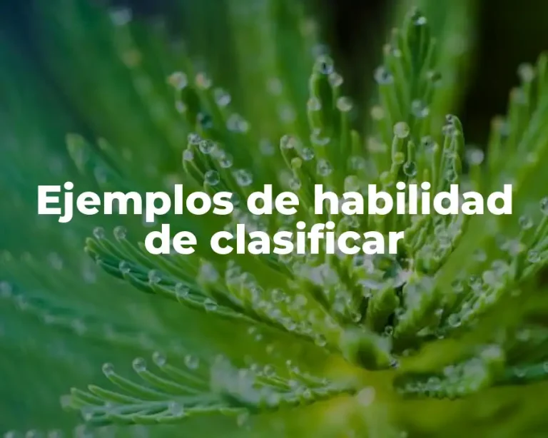 Ejemplos de habilidad de clasificar