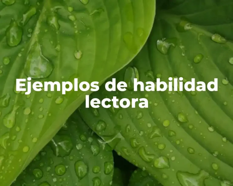 Ejemplos de habilidad lectora