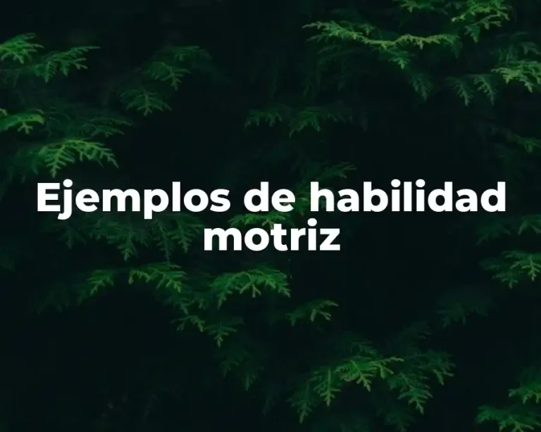 Ejemplos de habilidad motriz