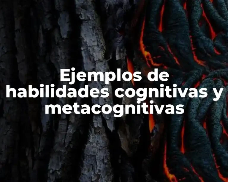 Ejemplos de habilidades cognitivas y metacognitivas
