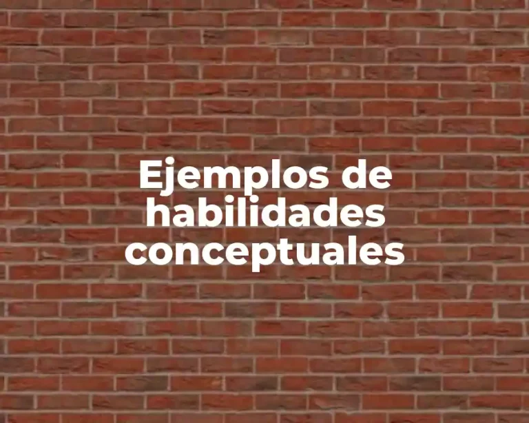 Ejemplos de habilidades conceptuales