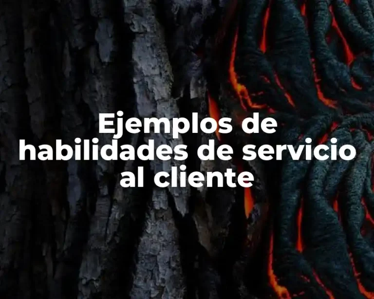 Ejemplos de habilidades de servicio al cliente