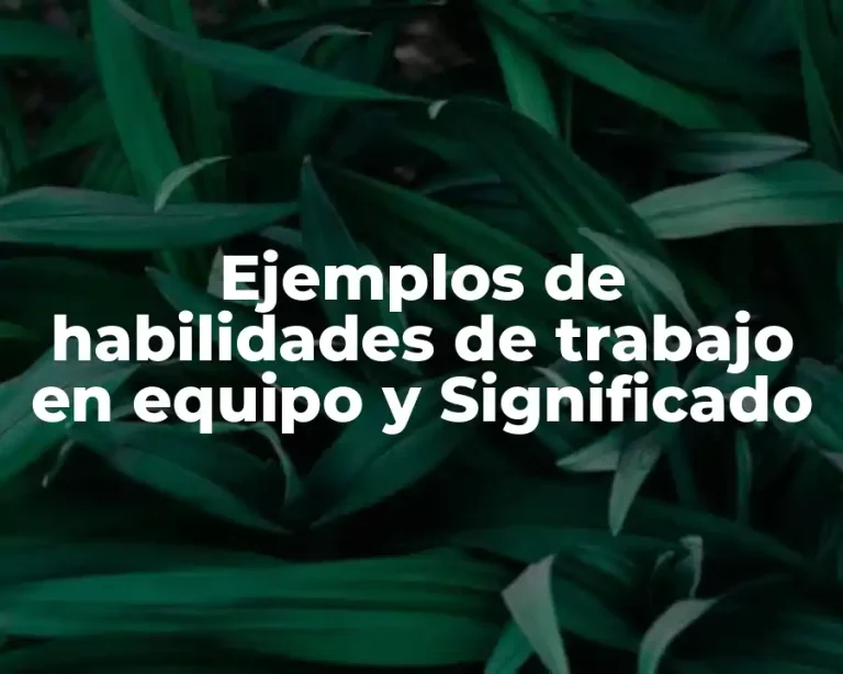 Ejemplos de habilidades de trabajo en equipo y Significado