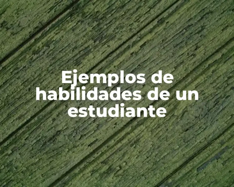 Ejemplos de habilidades de un estudiante