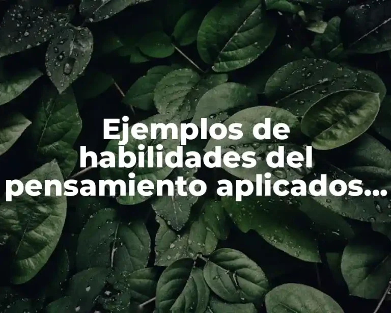 Ejemplos de habilidades del pensamiento aplicados a la vida académica