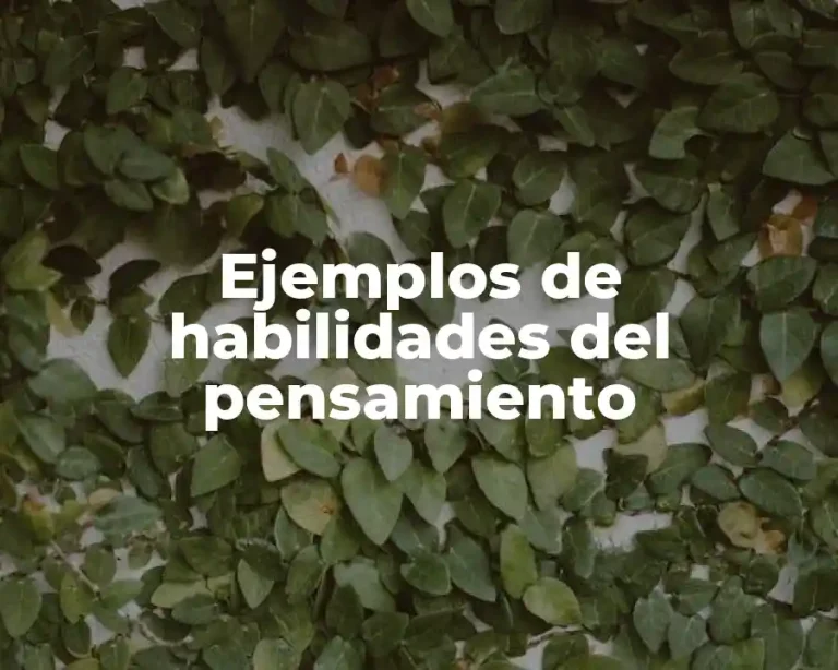 Ejemplos de habilidades del pensamiento