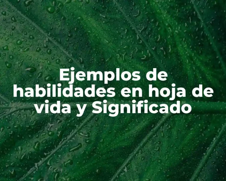 Ejemplos de habilidades en hoja de vida y Significado