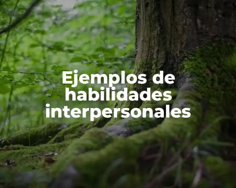 Ejemplos de habilidades interpersonales