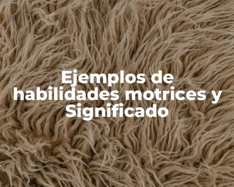 Ejemplos de habilidades motrices y Significado