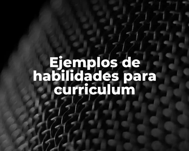 Ejemplos de habilidades para curriculum