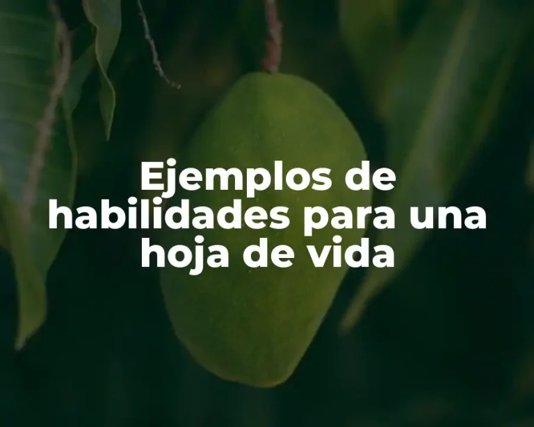 Ejemplos de habilidades para una hoja de vida