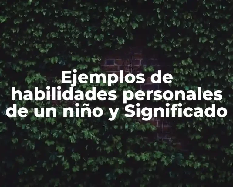 Ejemplos de habilidades personales de un niño y Significado