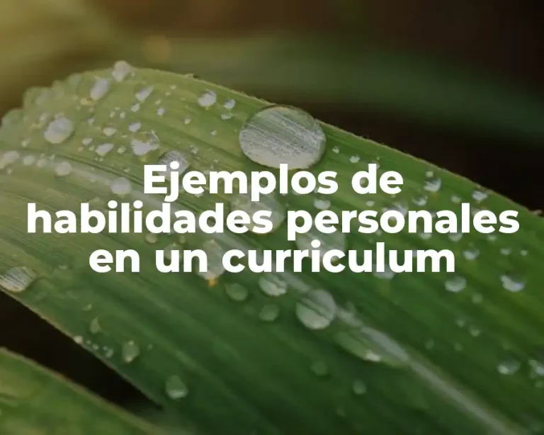 Ejemplos de habilidades personales en un curriculum