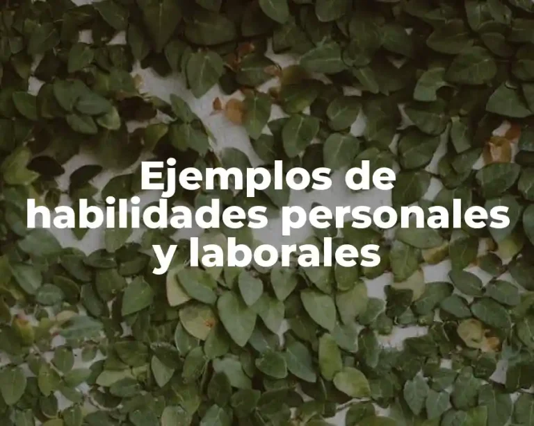 Ejemplos de habilidades personales y laborales