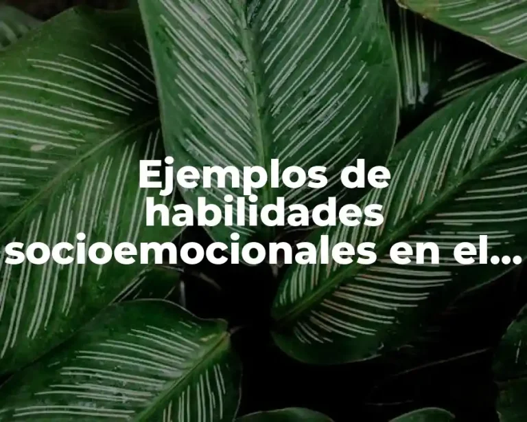 Ejemplos de habilidades socioemocionales en el aula