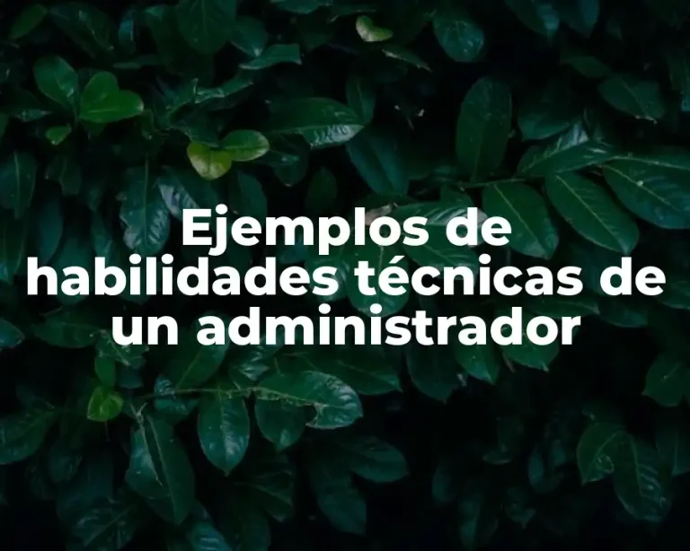 Ejemplos de habilidades técnicas de un administrador