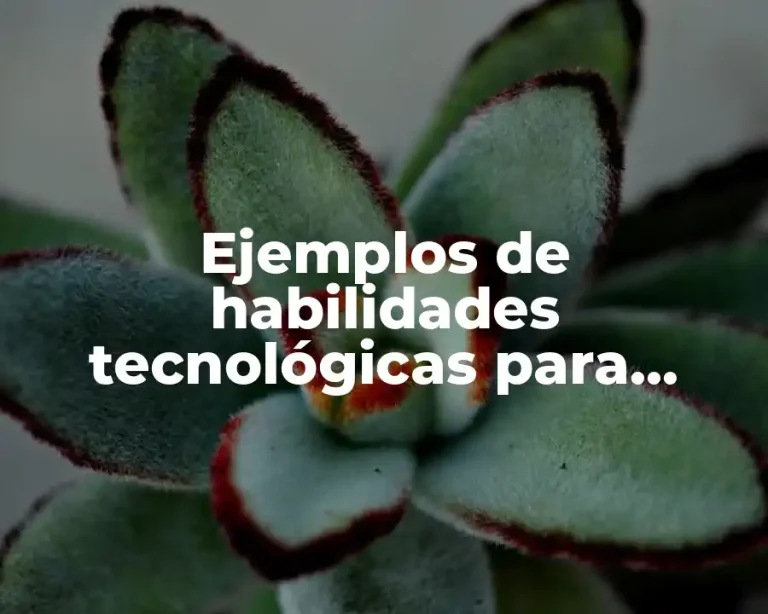 Ejemplos de habilidades tecnológicas para aspirar a un empleo