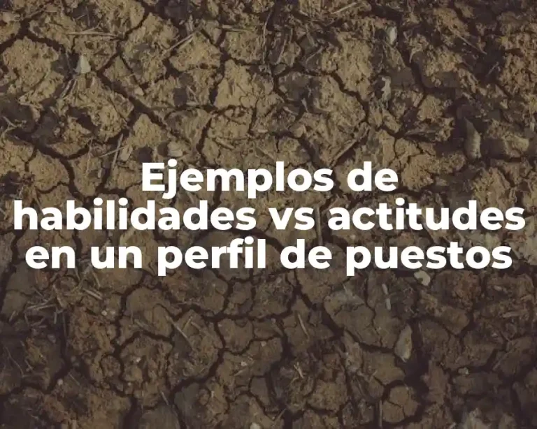 Ejemplos de habilidades vs actitudes en un perfil de puestos