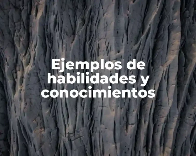 Ejemplos de habilidades y conocimientos