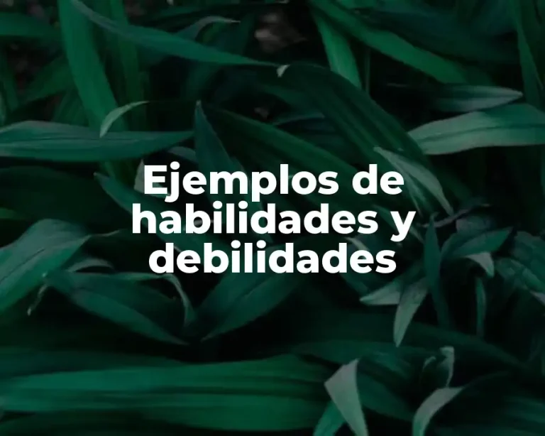 Ejemplos de habilidades y debilidades