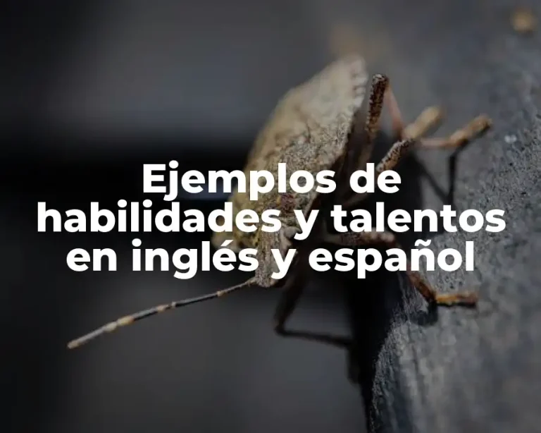 Ejemplos de habilidades y talentos en inglés y español