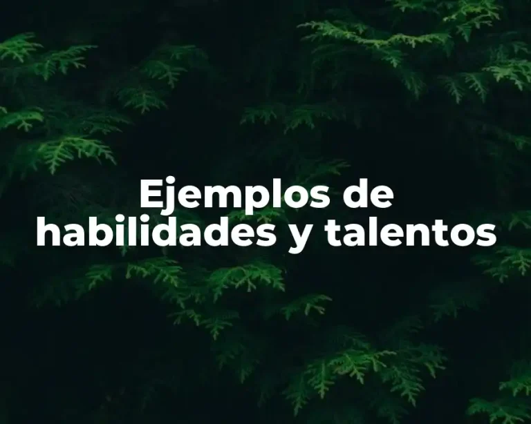 Ejemplos de habilidades y talentos