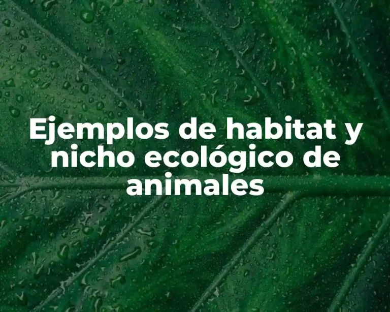 Ejemplos de habitat y nicho ecológico de animales