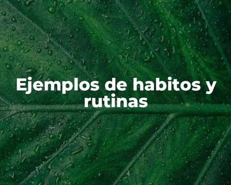 Ejemplos de habitos y rutinas