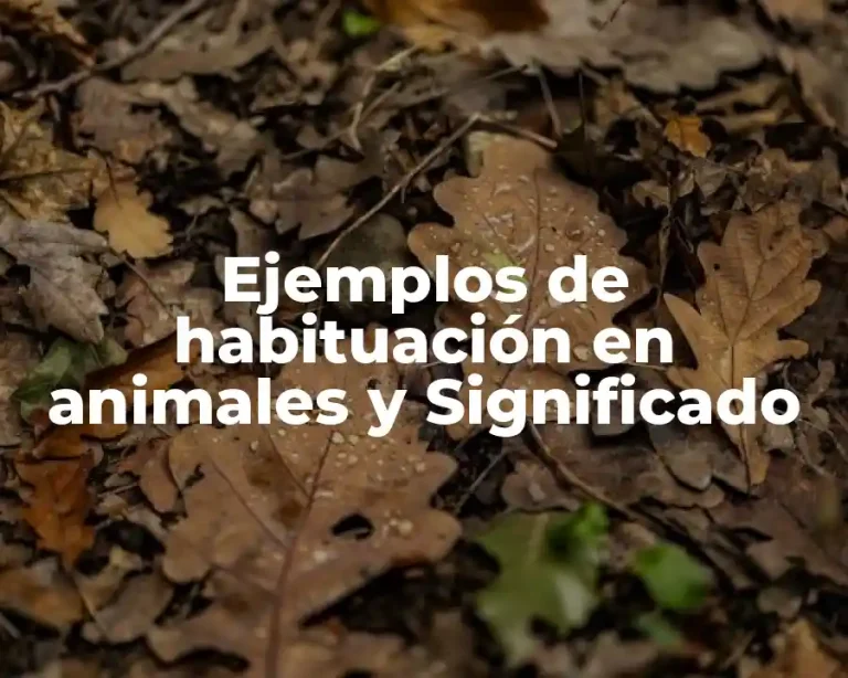 Ejemplos de habituación en animales y Significado