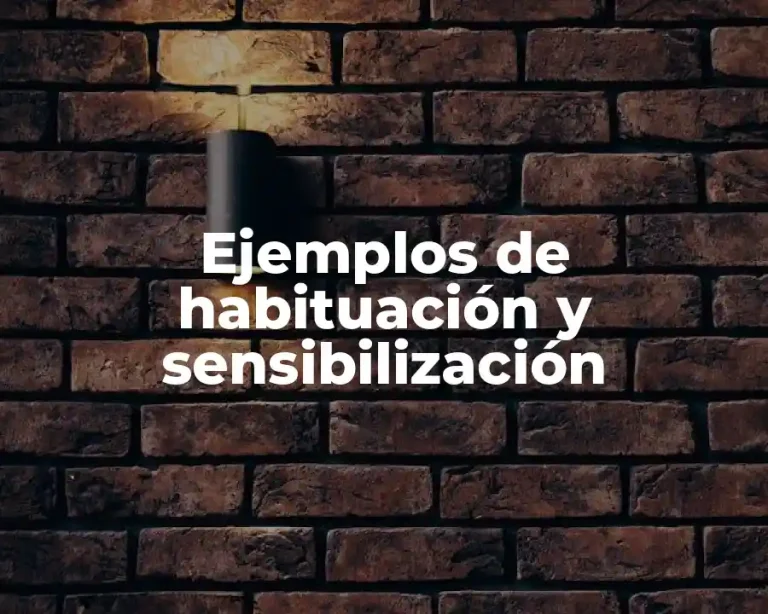 Ejemplos de habituación y sensibilización