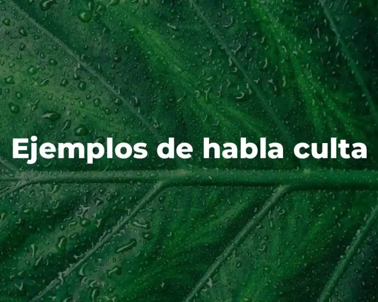 Ejemplos de habla culta