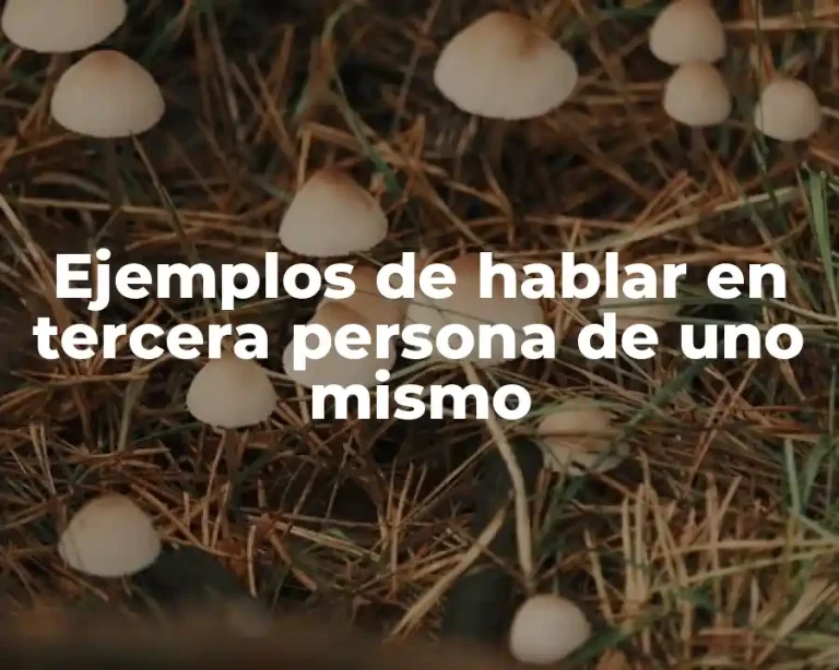 Ejemplos de hablar en tercera persona de uno mismo