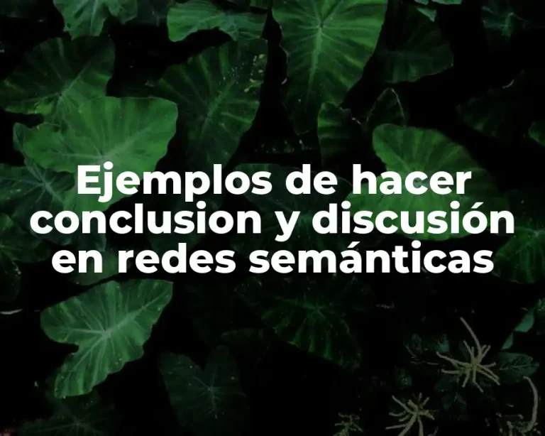 Ejemplos de hacer conclusion y discusión en redes semánticas