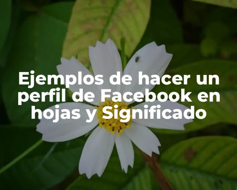 Ejemplos de hacer un perfil de Facebook en hojas y Significado