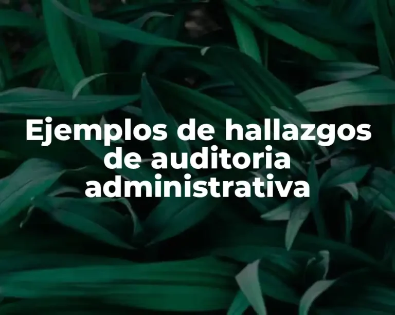 Ejemplos de hallazgos de auditoria administrativa