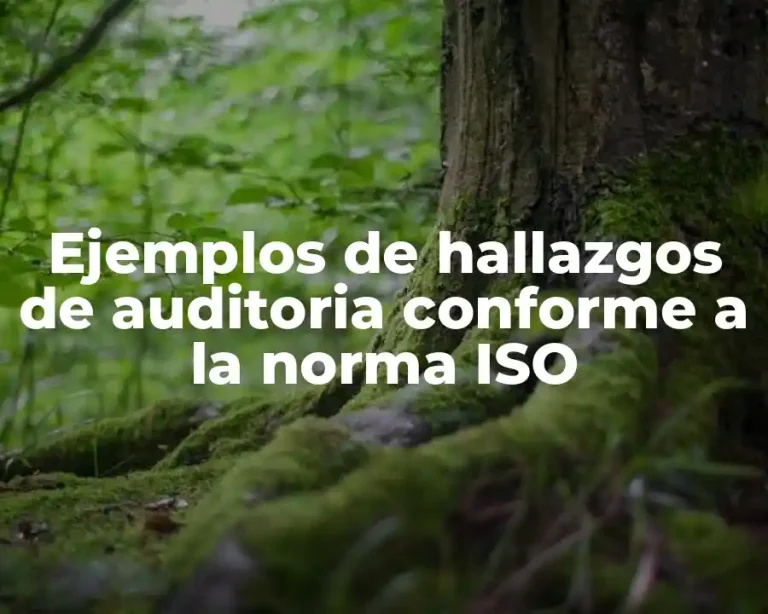 Ejemplos de hallazgos de auditoria conforme a la norma ISO