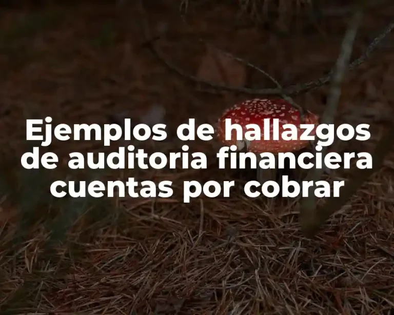 Ejemplos de hallazgos de auditoria financiera cuentas por cobrar