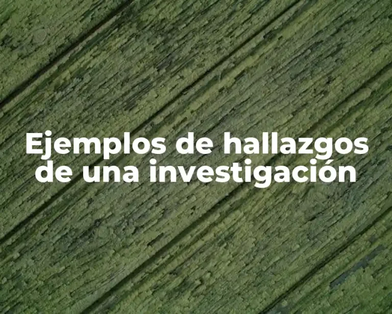 Ejemplos de hallazgos de una investigación