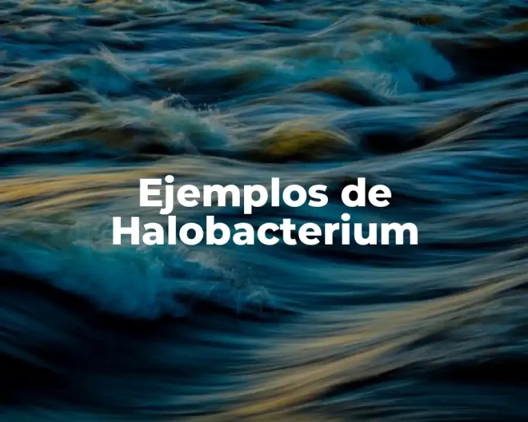 Ejemplos de Halobacterium