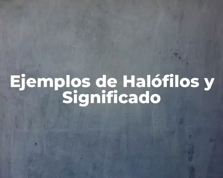 Ejemplos de Halófilos y Significado