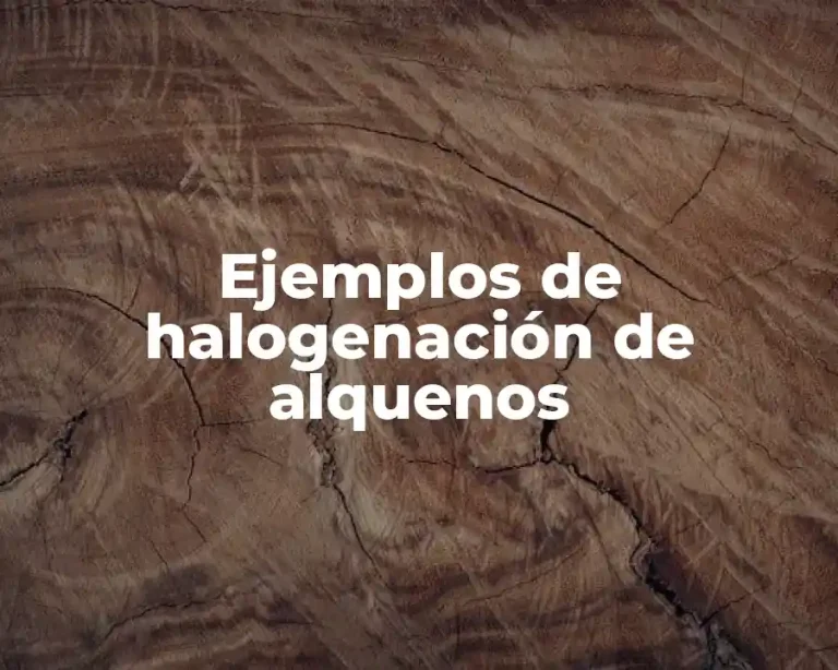 Ejemplos de halogenación de alquenos
