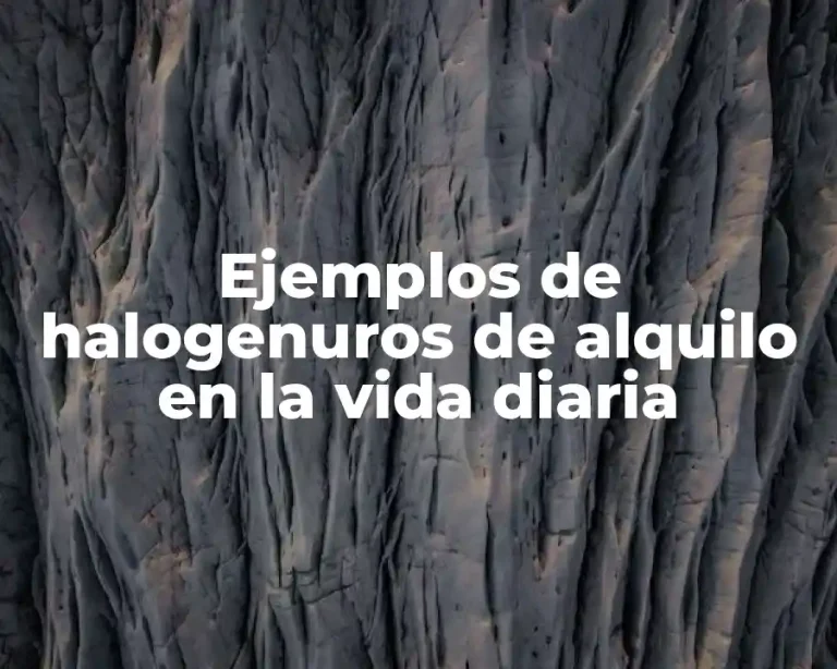 Ejemplos de halogenuros de alquilo en la vida diaria
