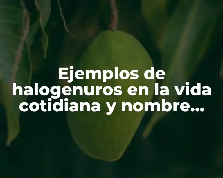 Ejemplos de halogenuros en la vida cotidiana y nombre quimico