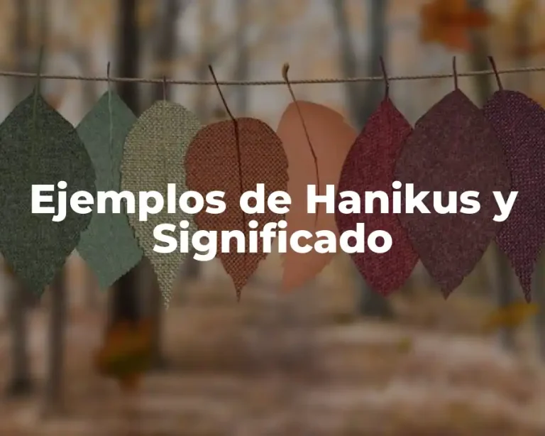 Ejemplos de Hanikus y Significado