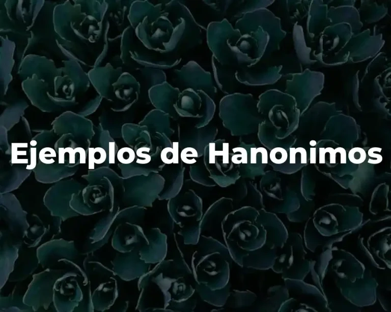 Ejemplos de Hanonimos